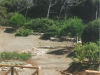 12 - Vulci
