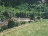 14 - Vulci